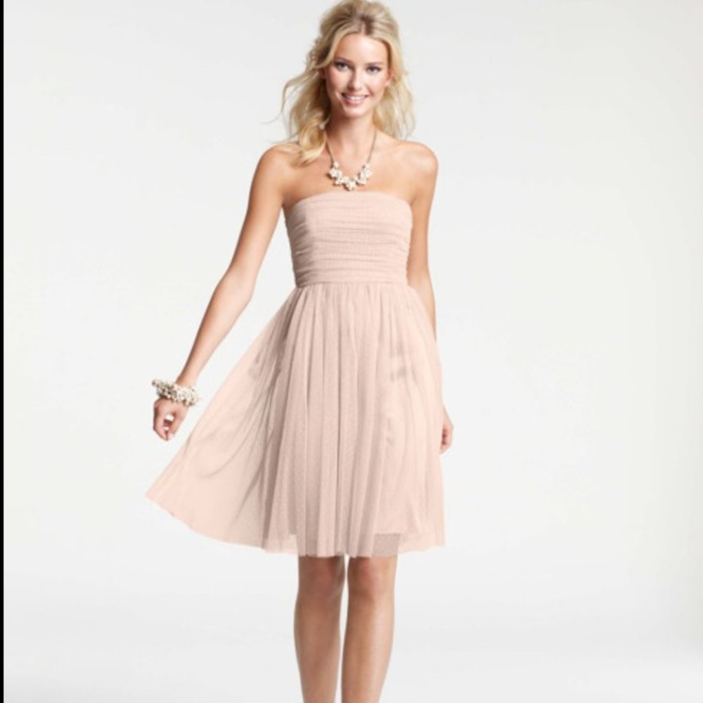 Ann Taylor Pink Tulle Dress